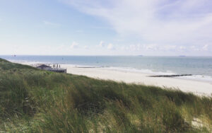 cleverer-und-smarter-autoservice-urlaub-juni-2025-smart-werkstatt